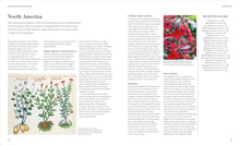 Load image into Gallery viewer, Encyclopedia of Herbal Medicine New Edition: 560 Herbs and Remedies for Common Ailments