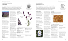 Load image into Gallery viewer, Encyclopedia of Herbal Medicine New Edition: 560 Herbs and Remedies for Common Ailments