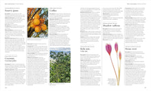 Load image into Gallery viewer, Encyclopedia of Herbal Medicine New Edition: 560 Herbs and Remedies for Common Ailments