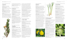 Load image into Gallery viewer, Encyclopedia of Herbal Medicine New Edition: 560 Herbs and Remedies for Common Ailments
