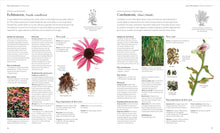 Load image into Gallery viewer, Encyclopedia of Herbal Medicine New Edition: 560 Herbs and Remedies for Common Ailments