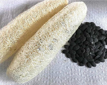 Load image into Gallery viewer, Luffa Seeds