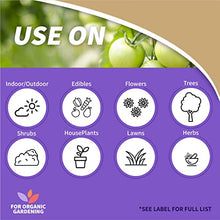 Load image into Gallery viewer, Bonide Captain Jack&#39;s Neem Oil, 32 oz Ready-to-Use Spray, Multi-Purpose Fungicide, Insecticide and Miticide for Organic Gardening
