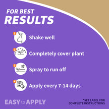 Load image into Gallery viewer, Bonide Captain Jack&#39;s Neem Oil, 32 oz Ready-to-Use Spray, Multi-Purpose Fungicide, Insecticide and Miticide for Organic Gardening

